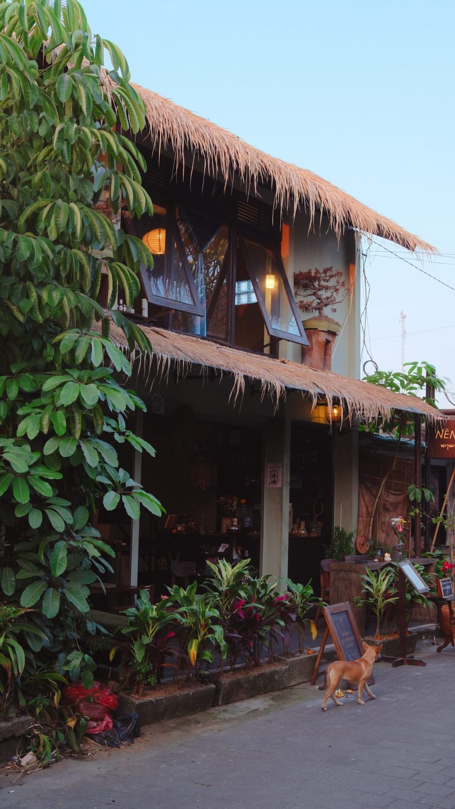 rumah saat senja — anjingnya tahu lebih dulu